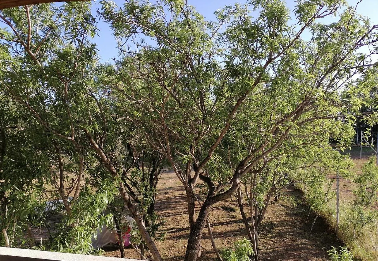 Agriturismo 