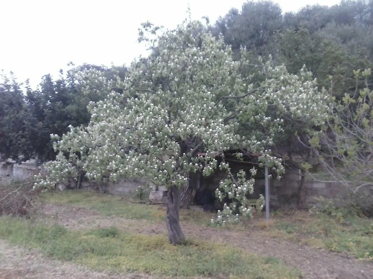Agriturismo PIRASTRERI Siniscola